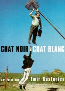 chat_noir_chat_blanc0